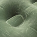 Colchon Inflable Simple Plaza Camping Resistente + Parche  Verde - Image 4