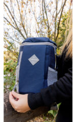 Heladera Termica Portatil Mochila Acolchada Calidad Premium - Image 2