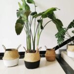 Set X2 Canastos Seagrass Tejido Organizador Maceta Premium - Image 2