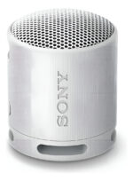 Parlante Inalámbrico Portátil Con Bluetooth Sony Xb100 Color Gris