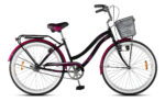 Bicicleta Paseo Aurora Family Rodado 26 Canasto Ramos Mejia