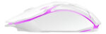 Mouse Optico + Dpi Diseño Premium Usb Ramos Mejia  Blanco - Image 2