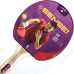 Paleta Ping Pong Tenis Mesa Sensei 1 Estrella Plus Pingpong Color Marrón Madera St (recto) - Image 2