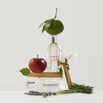 Tommy Tradicional Edt 100ml Para Hombre - Image 5