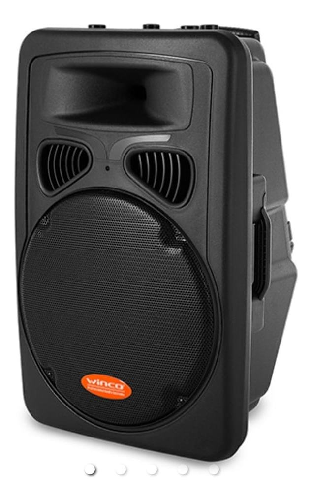 D_NQ_NP_928433-MLA103238347910_012026-F.jpg Parlante Winco W1928usb Con Bluetooth 450w Color Negro - Image 1