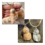 Llavero Transparente Guarda Pelo Mascota Gato Ramos Mejia - Image 2