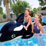 Inflable Orca Flotador Pileta Chicos Ramos Mejia Oferta - Imagen 3