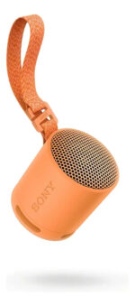 Parlante Inalambrico Portatil Sony Bluetooth Diseño Calidad - Imagen 10
