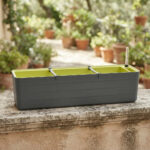 Maceta Autorriego Reforzada 19cm Diseño Moderno Premium - Imagen 2
