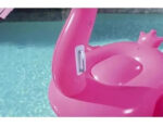 Inflable Para Pileta Flotadores Con Diseño Grande + Parche - Imagen 2