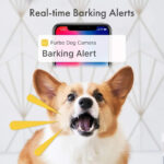 Camara Para Perros Wifi 1080p Nocturna Lanza Comida Altavoz - Imagen 3