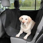 Funda Para Perro Auto Asiento Trasero Calidad Premium - Imagen 2